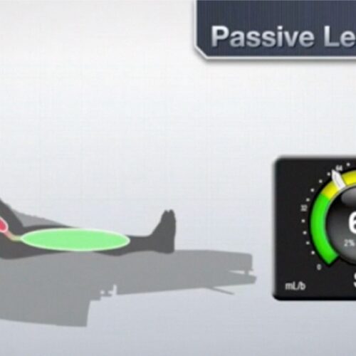 10 - dimensioni grandi