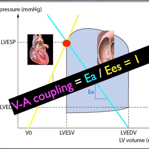 2 - dimensioni grandi