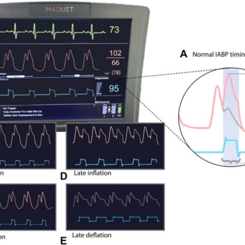 9 - dimensioni grandi